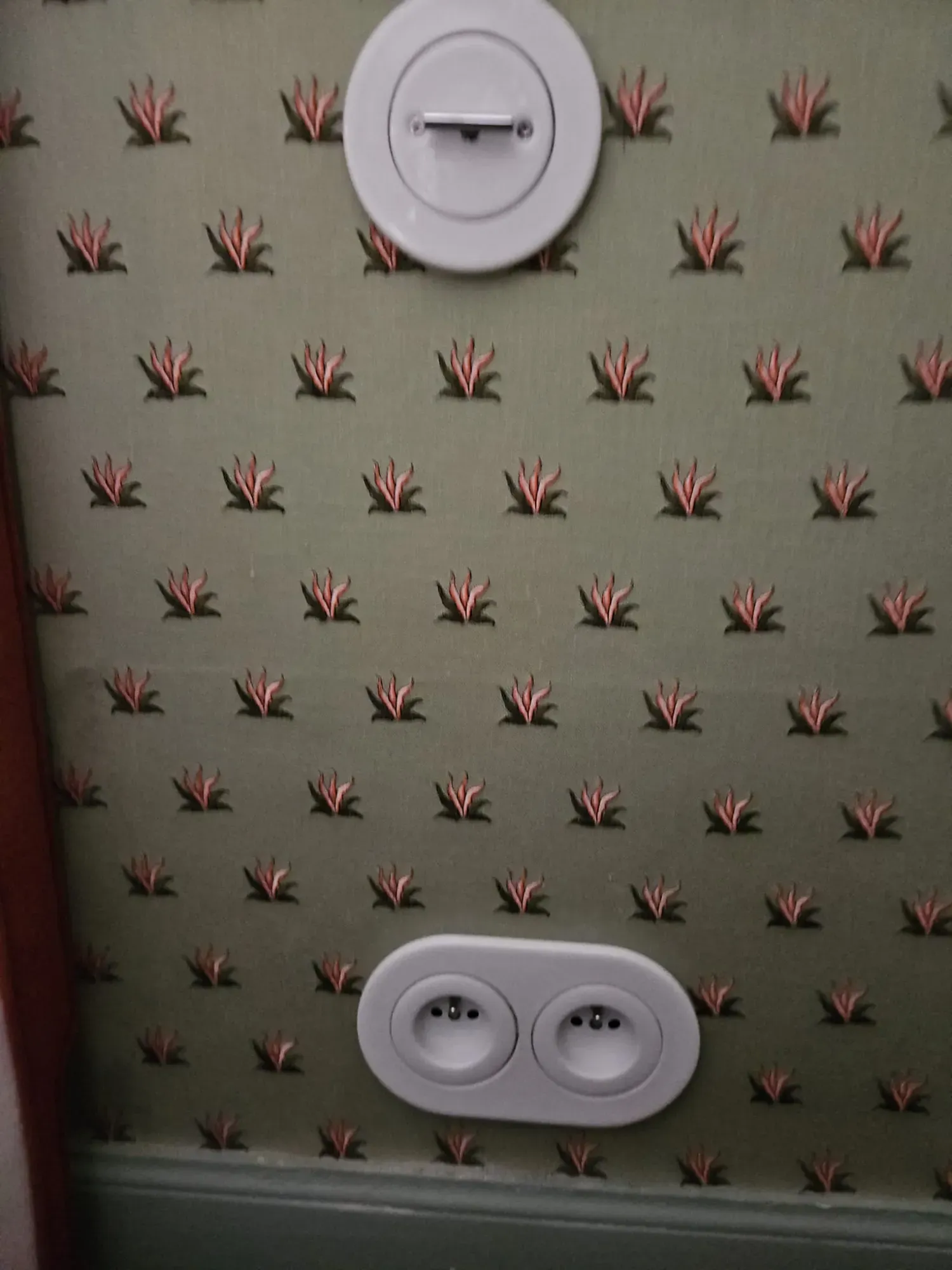 WhatsApp Image 2026-01-29 at 20.25.46