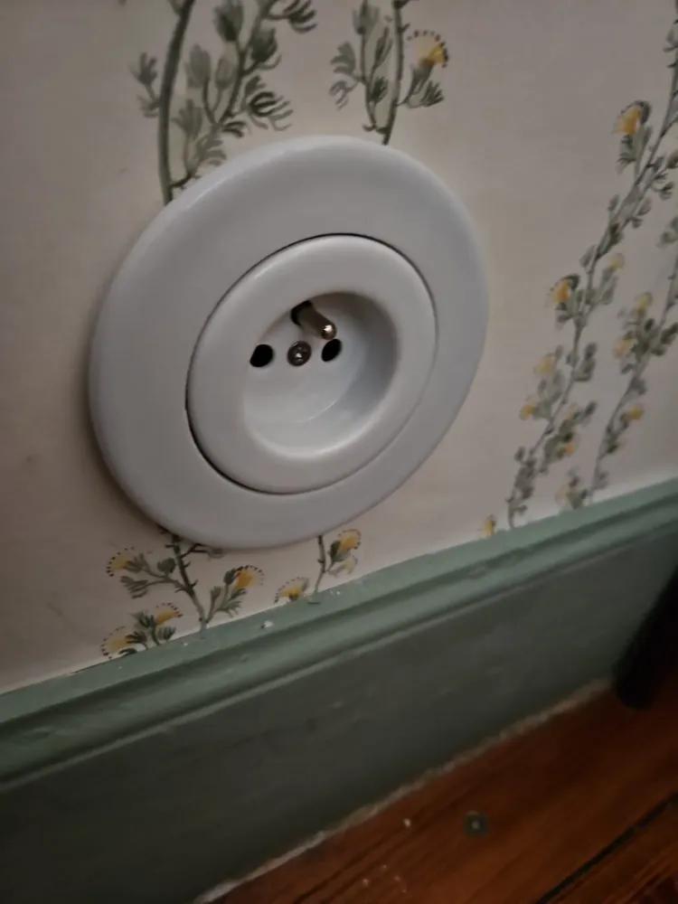 WhatsApp Image 2026-01-29 at 20.25.56